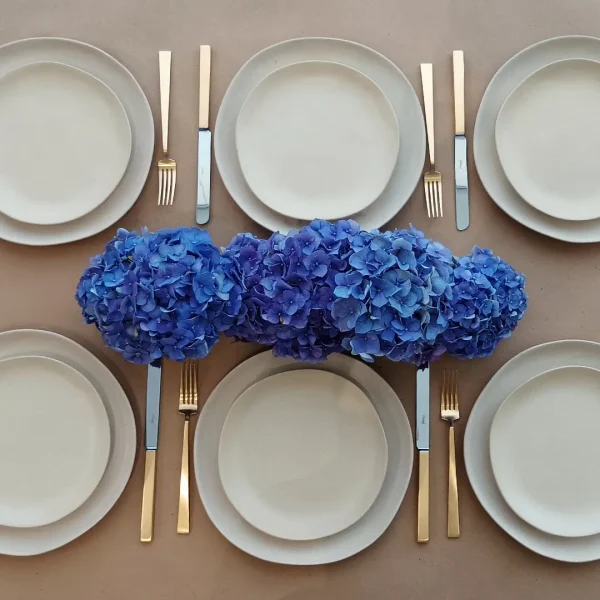 Livia Dinner Plate, 28 cm by Costa Nova - Champagne