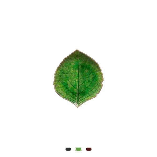 Hoja Hortensia Riviera, 17 cm by Costa Nova - Tomate