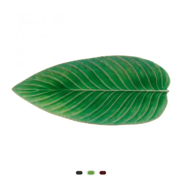 Riviera Strelizia Leaf, 40 cm by Costa Nova - Tomate