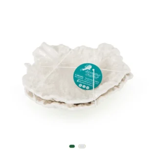 Assiette « La laitue », 18 cm by Laboratório D’Estórias - White